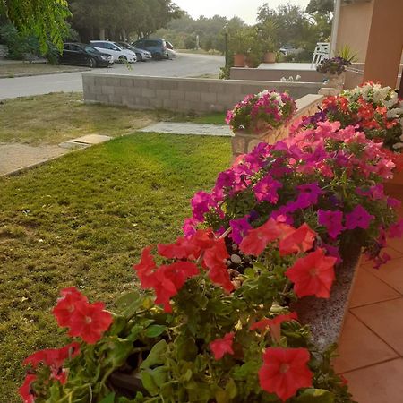 Apartmani Ruza Novalja Extérieur photo