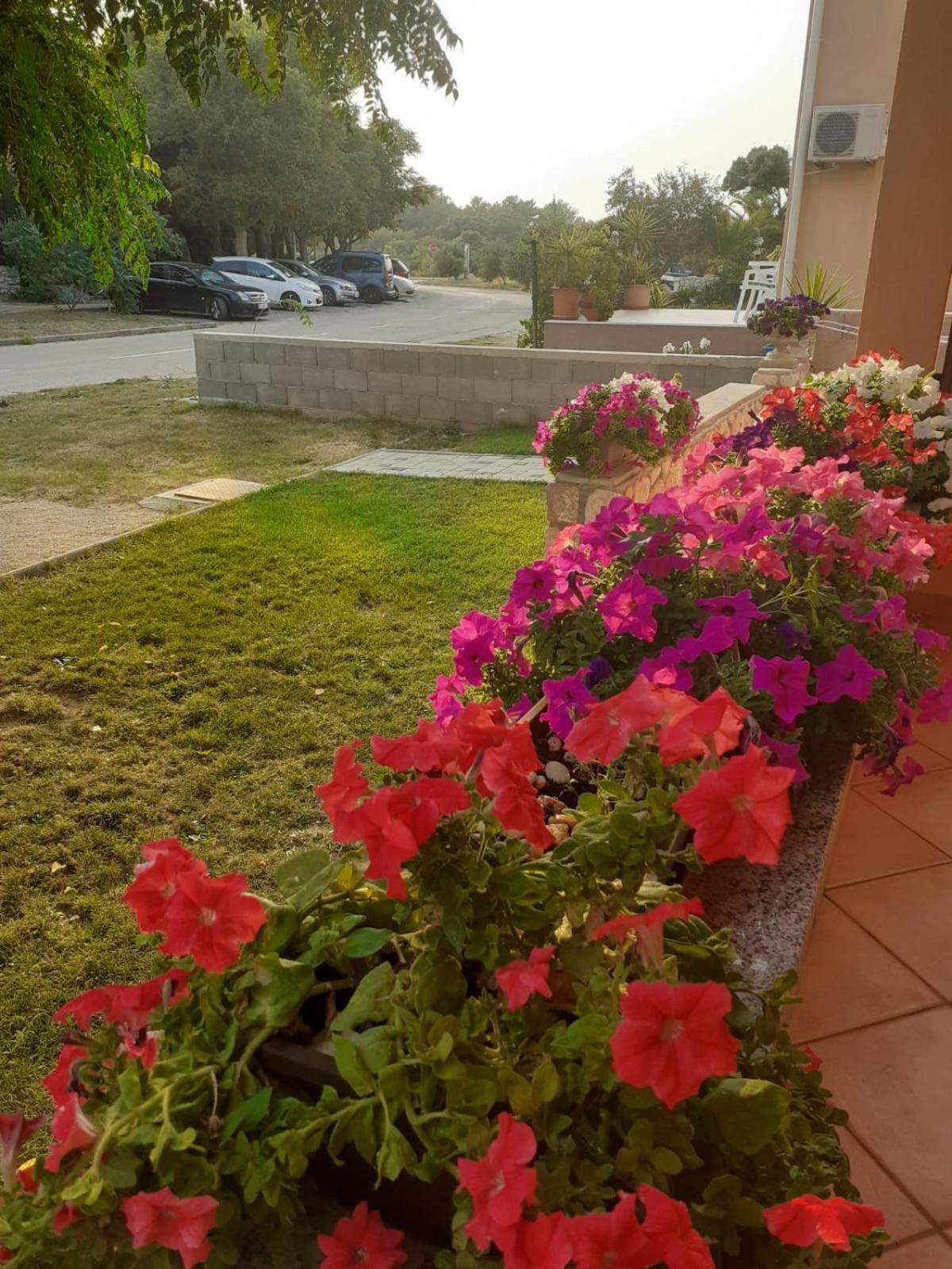 Apartmani Ruza Novalja Extérieur photo